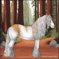 Horse Color:White Spotted Palomino
