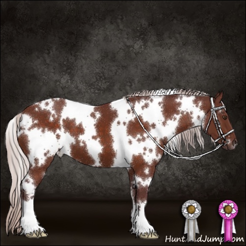 Horse Color:White Spotted Chocolate Silver Brown