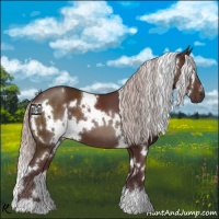Horse Color:White Spotted Chocolate Silver Brown 
