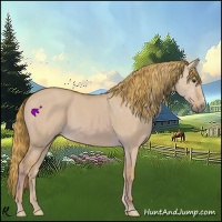 Horse Color:Watercolor Red Dun