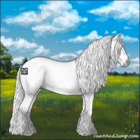 Horse Color:Gray White Spotted Grullo Splash Frame 