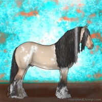 Horse Color:White Spotted Bay Dun