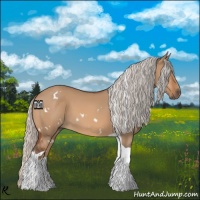 Horse Color:White Spotted Silver Bay Dun Tobiano 