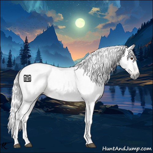 Horse Color:Gray White Spotted Chestnut 
