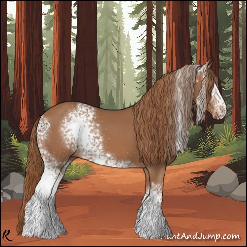 Horse Color:White Spotted Chestnut 