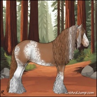 Horse Color:White Spotted Chestnut 