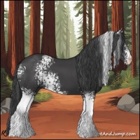 Horse Color:White Spotted Black 