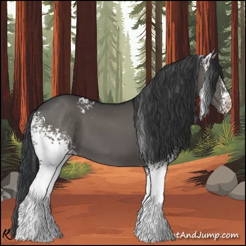 Horse Color:White Spotted Grullo