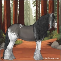 Horse Color:White Spotted Grullo 
