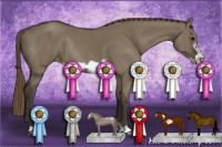 Horse Color:Smoky Grullo Frame Appaloosa Rabicano