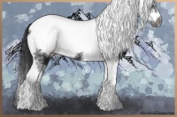 Horse Color:Black Tobiano Frame 