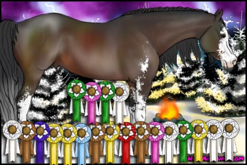 Horse Color:Brown Sabino 