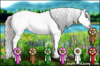 Horse Color:Silver Black Appaloosa 