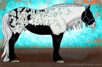 Horse Color:Watercolor Silver Black Splash Appaloosa 