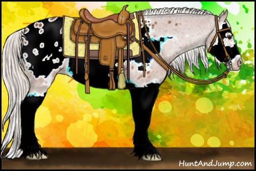 Horse Color:Silver Bay Splash Frame Appaloosa 