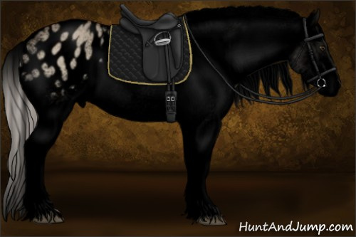 Horse Color:Void White Spotted Silver Bay Dun Appaloosa 