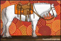 Horse Color:Gray Chestnut Appaloosa 