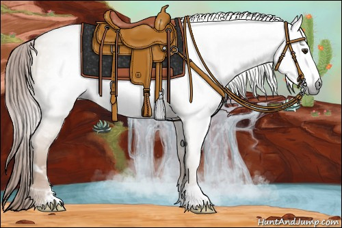 Horse Color:Gray Red Dun Frame 