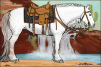 Horse Color:Gray Red Dun Frame
