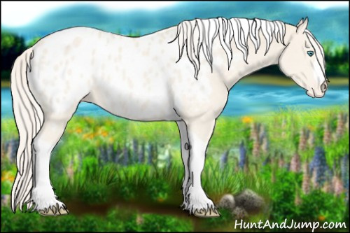 Horse Color:Cremello Tobiano Appaloosa 