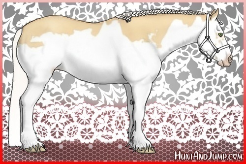 Horse Color:Silver Classic Champagne Dun Splash Frame