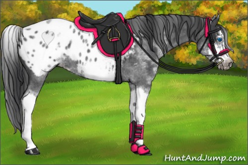 Horse Color:White Spotted Blue Roan Splash Frame Appaloosa 