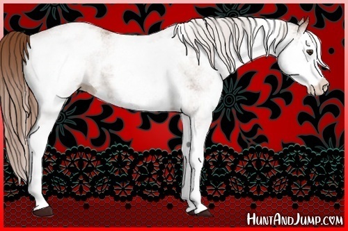 Horse Color:White Spotted Chestnut Splash Rabicano 