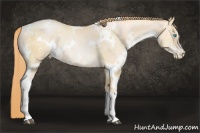 Horse Color:White Spotted Buckskin Pearl 