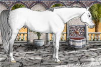 Horse Color:Gray Smoky Black 