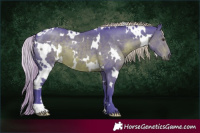Horse Color:Watercolor White Spotted Liver Chestnut