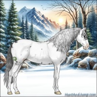 Horse Color:Black Sabino 