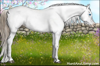 Horse Color:Liver Chestnut Splash Appaloosa 