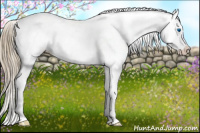 Horse Color:Liver Chestnut Sabino Splash Frame Appaloosa 