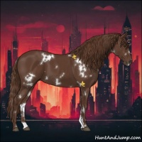Horse Color:White Spotted Liver Chestnut 