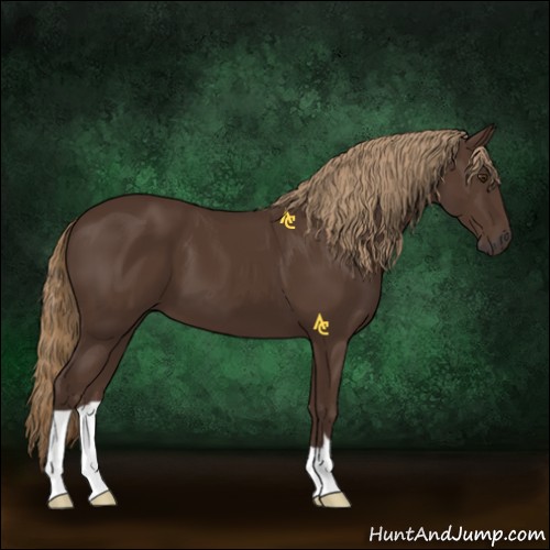 Horse Color:Liver Chestnut 