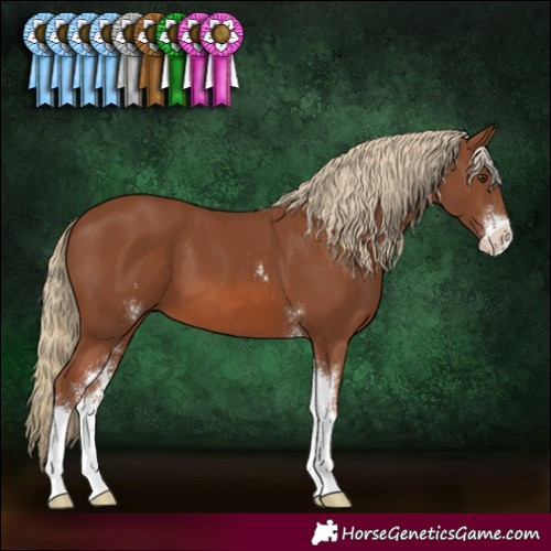 Horse Color:Chestnut Sabino 