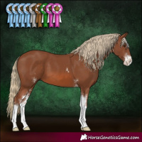 Horse Color:Chestnut Sabino
