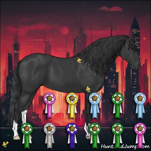Horse Color:Black 