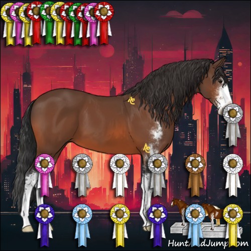 Horse Color:Bay Sabino 