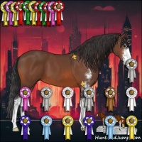 Horse Color:Bay Sabino 