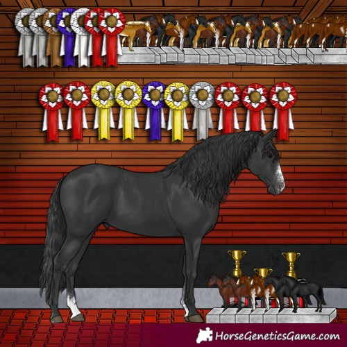 Horse Color:Black Sabino 