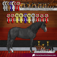 Horse Color:Black Sabino