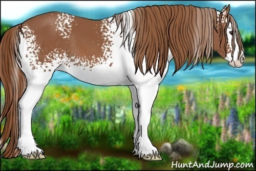 Horse Color:White Spotted Chestnut Splash