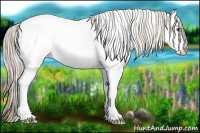 Horse Color:White Spotted Palomino Dun