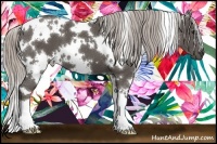 Horse Color:White Spotted Silver Black 