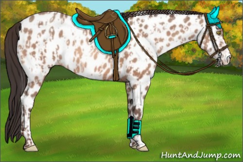 Horse Color:Sable Champagne Appaloosa and Sable Champagne Appaloosa