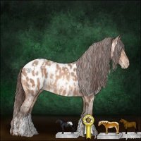 Horse Color:Amber Champagne Near Leopard and Amber Champagne Near Leopard