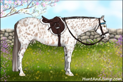 Horse Color:Sable Champagne Appaloosa and Sable Champagne Splash Appaloosa