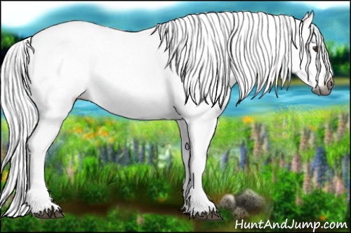 Horse Color:Gray White Spotted Liver Chestnut