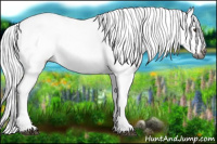 Horse Color:Gray White Spotted Liver Chestnut